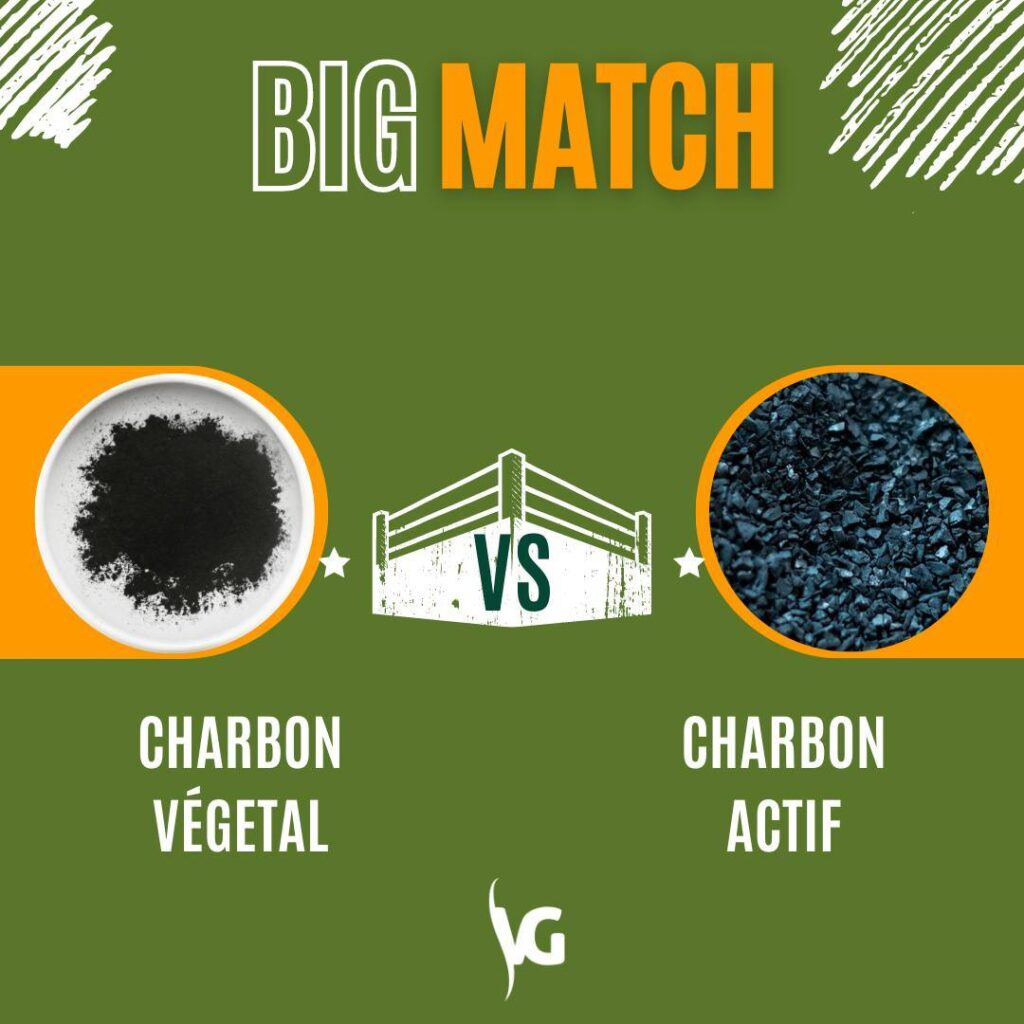 CHARBON VÉGÉTAL VS CHARBON ACTIF - Laboratoire Valogétal